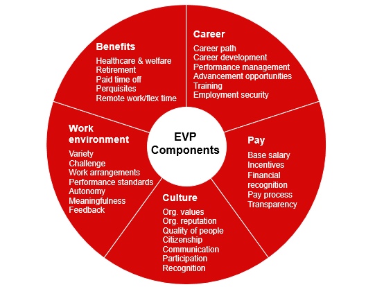 Emploer Value Proposition components