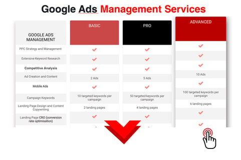 Google Ads Management Services Professional Certified Agency