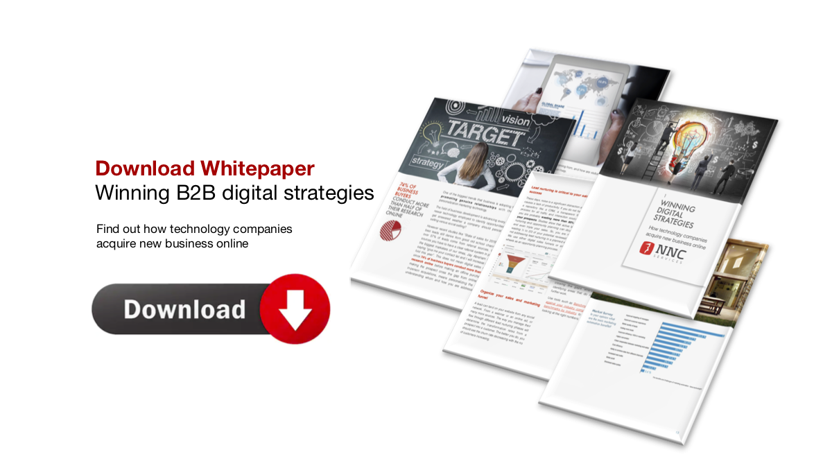 Download White-paper Winning B2B Digital Strategies